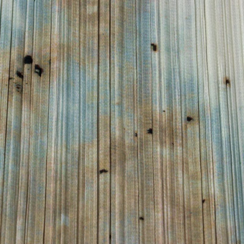 A/W1999 PLEATS PLEASE GUEST ARTIST SERIES NO.4 CAI GUO QIANG 蔡 國強 Explosion Printed Top